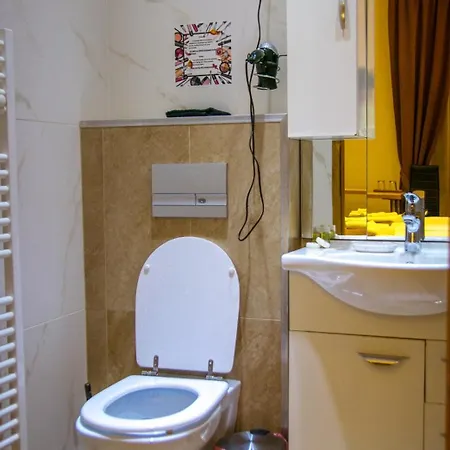 Guest house 4rooms Sibiu
